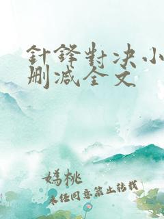 针锋对决小说未删减全文