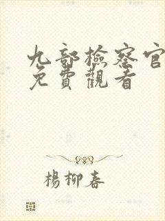 九部检察官在线免费观看