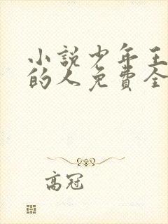 小说少年王抚琴的人免费全文阅读一