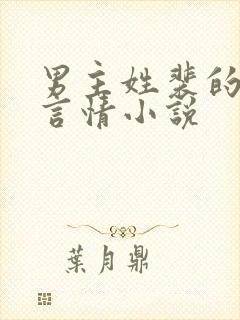 男主姓裴的现代言情小说