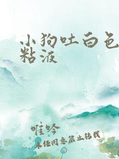 小狗吐白色泡沫粘液