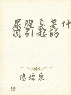 尿腥臭是什么原因引起的