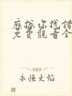 历总你找错夫人免费观看全集