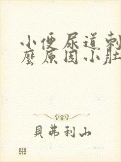 小便尿道刺痛什么原因小肚子疼