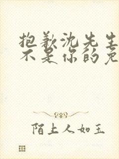 抱歉沈先生孩子不是你的免费短剧