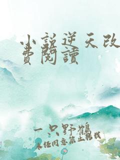 小说逆天改命免费阅读