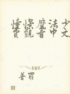 憧憬魔法少女免费观看中文版全集