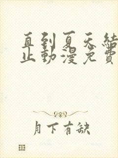 直到夏天结束为止动漫免费观看