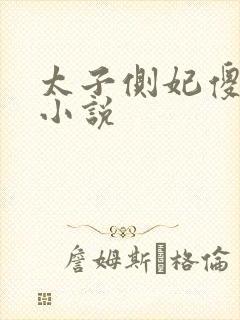 太子侧妃傻乎乎小说