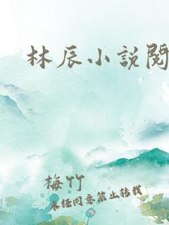 林辰小说阅读