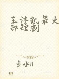 王沐凯最火的5部短剧