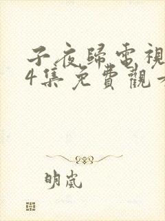 子夜归电视剧24集免费观看