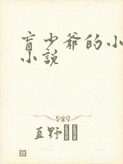 盲少爷的小女仆小说