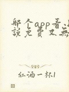 哪个app看小说免费又无广告