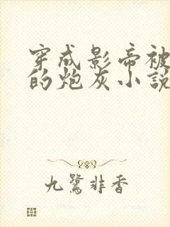 穿成影帝被抛弃的炮灰小说