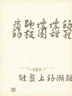 痞帅坏坏的校霸的校园甜宠文