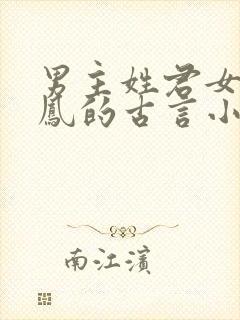 男主姓君女主姓凤的古言小说