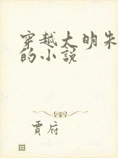 穿越大明朱高煦的小说