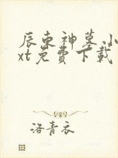 辰东神墓小说txt免费下载