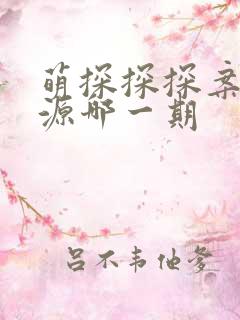 萌探探探案张真源哪一期