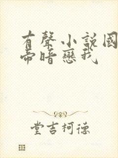 有声小说国民影帝暗恋我