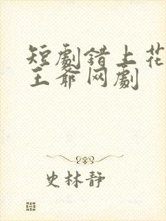 短剧错上花轿嫁王爷网剧