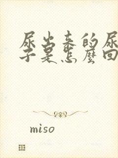 尿出来的尿有沫子是怎么回事