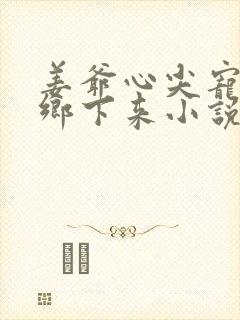 姜爷心尖宠她从乡下来小说免费