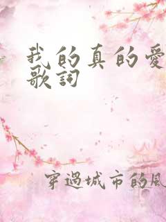 我的真的爱上你歌词