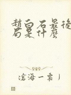 赵白石最后的结局是什么