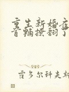 重生新婚夜病娇首辅撩翻了