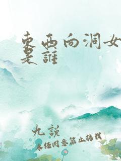 东西向洞女主角是谁