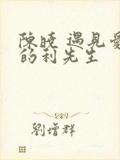 陈晓 遇见爱情的利先生