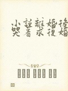 小说离婚后前夫哭着求复婚阅读