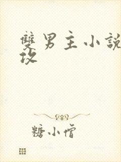 双男主小说师尊攻