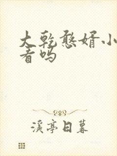 大乾憨婿小说好看吗