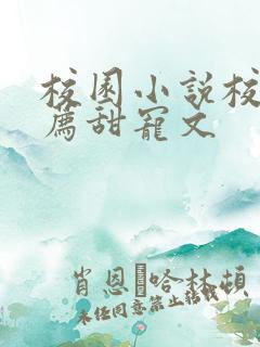 校园小说校霸推荐甜宠文