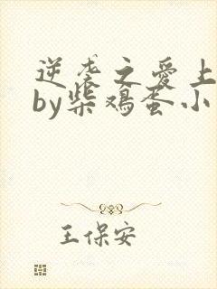 逆袭之爱上情敌by柴鸡蛋小说