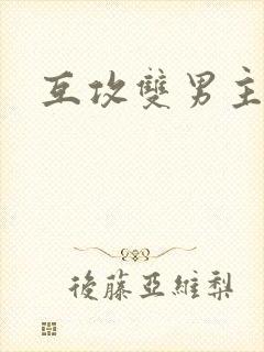互攻双男主高h