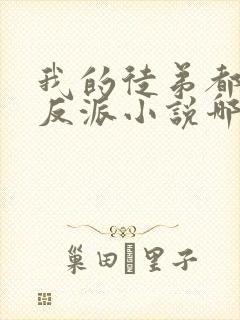 我的徒弟都是大反派小说哪可以找到