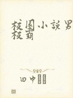 校园小说男主是校霸