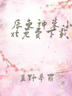 辰东神墓小说txt免费下载