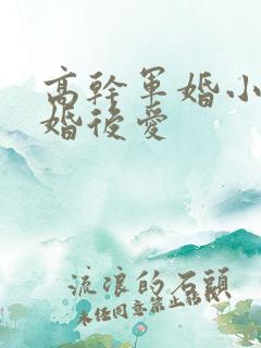 高干军婚小说先婚后爱