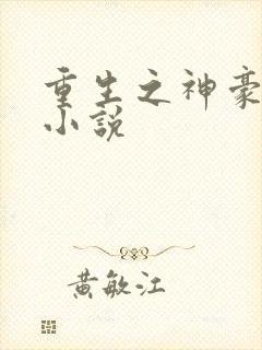 重生之神豪系统小说