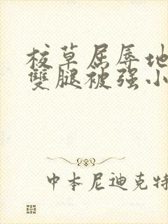 校草屈辱地张开双腿被强小说