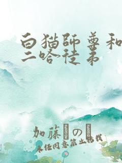白猫师尊和他的二哈徒弟