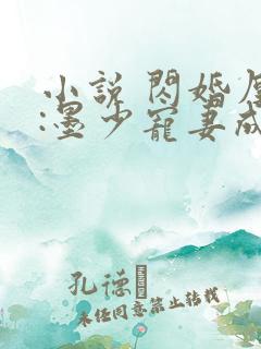 小说 闪婚厚爱:墨少宠妻成瘾