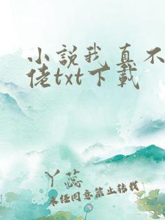 小说我真不是大佬txt下载