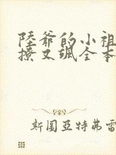 陆爷的小祖宗又撩又飒全本阅读