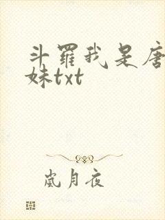 斗罗我是唐三妹妹txt